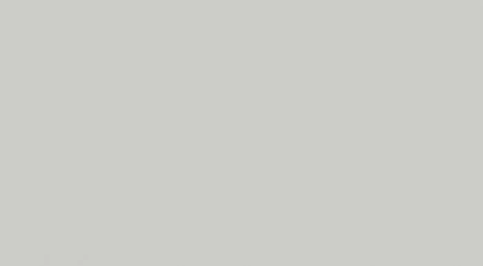  Partridge Grey 