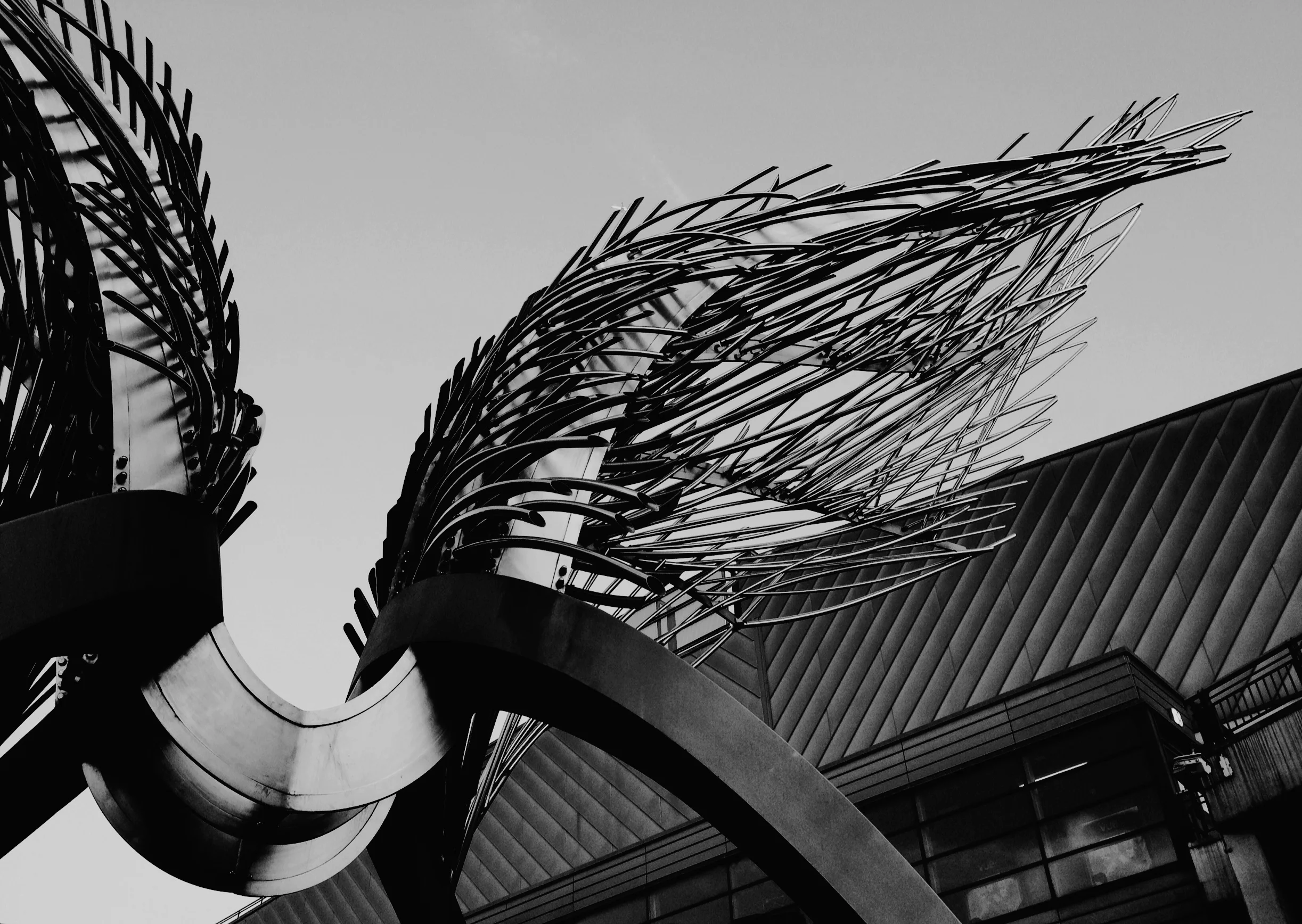 angel