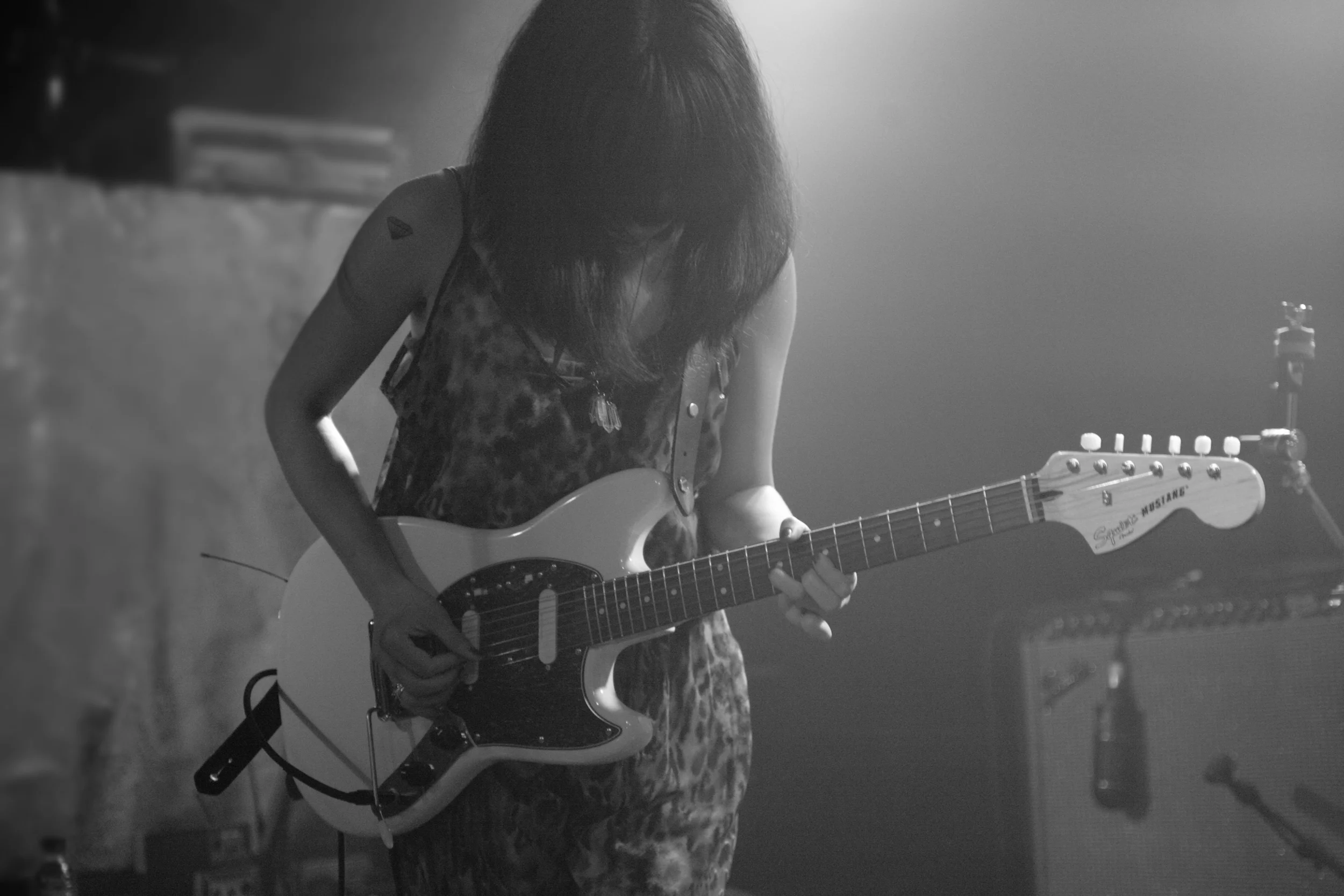 mariko doi [ parakeet ]