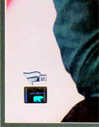 41+y-IDcVtL._AC_.jpg