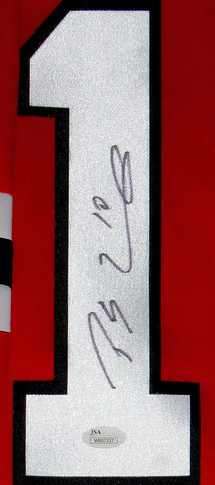 Patrick Sharp Signed Blackhawks 35 x 43 Custom Framed Jersey (JSA COA) at  's Sports Collectibles Store