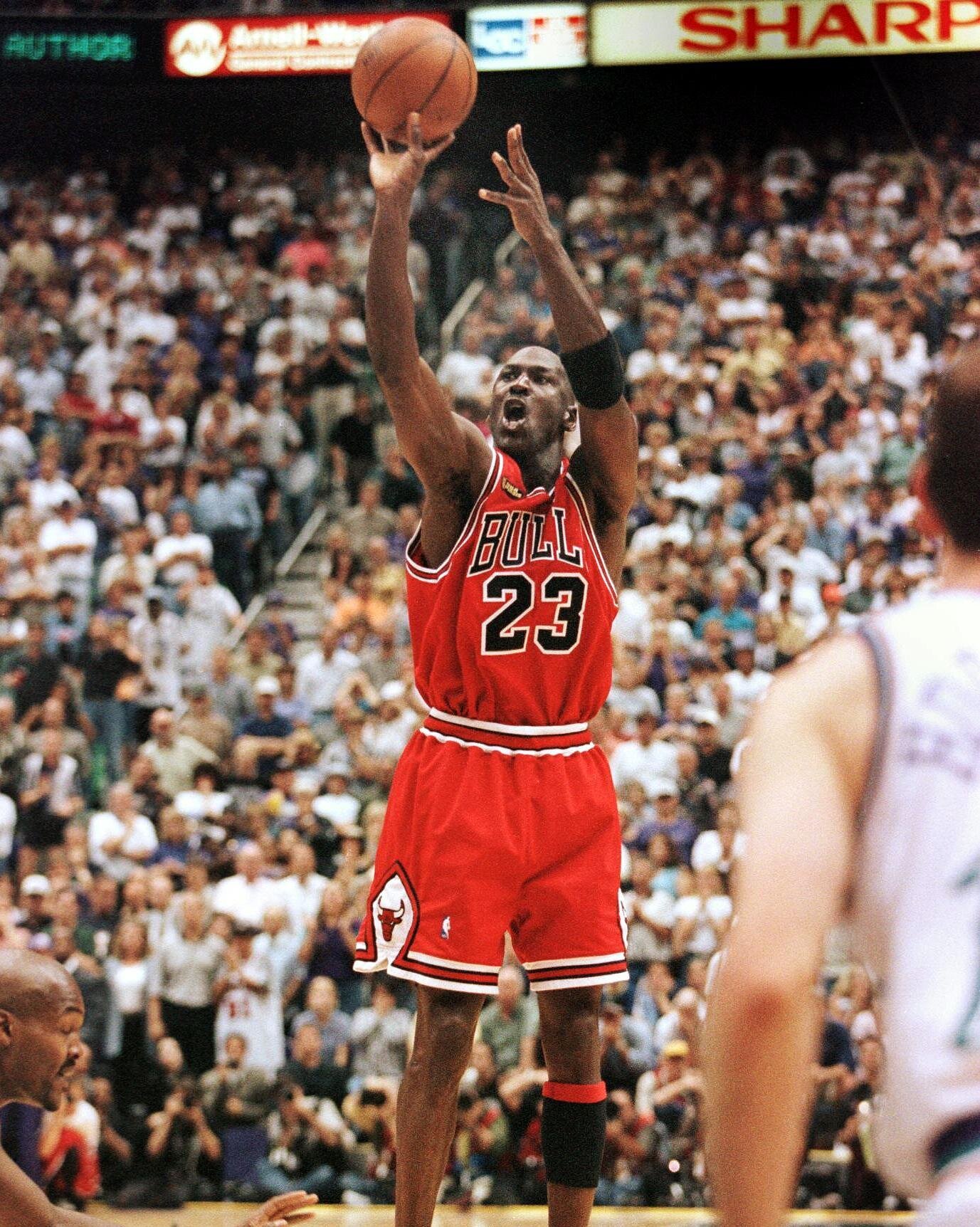 Bleachers Sports Music & Framing — Michael Jordan Chicago Bulls Career 8x10  Photo Compilation - Professionally Framed & Plate 32x16