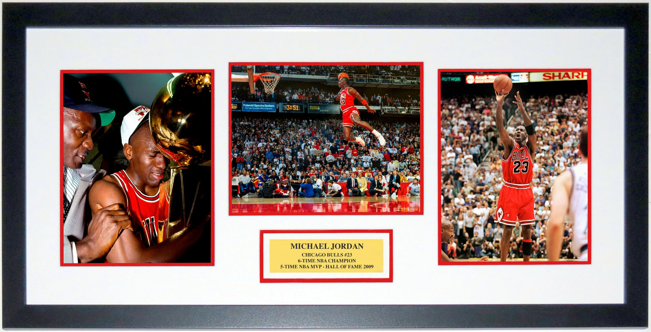 Michael Jordan Chicago Bulls Career 8x10 Photo Compilation - Professionally Framed and Plate 32x18