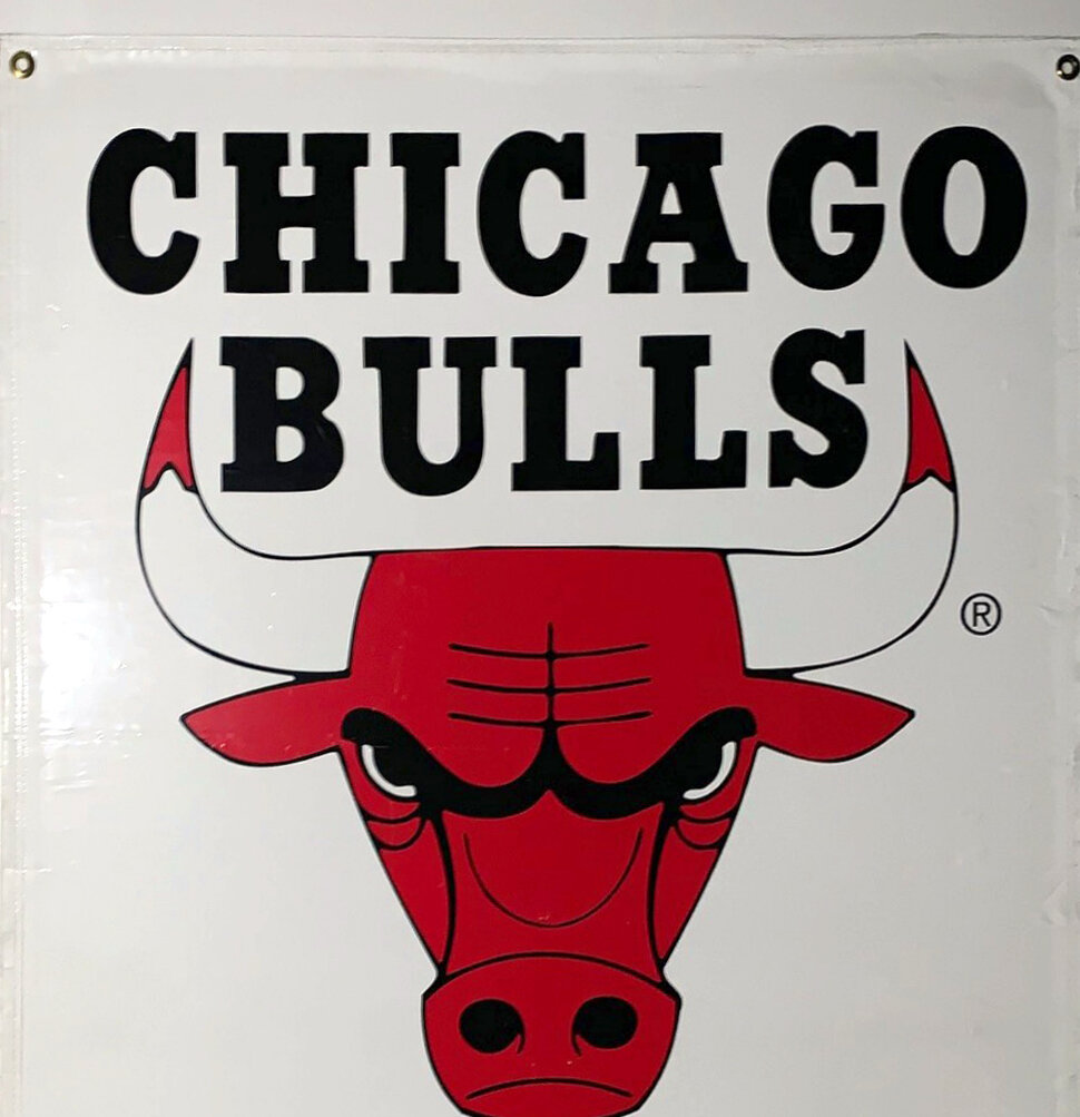 bulls 1992 world champions