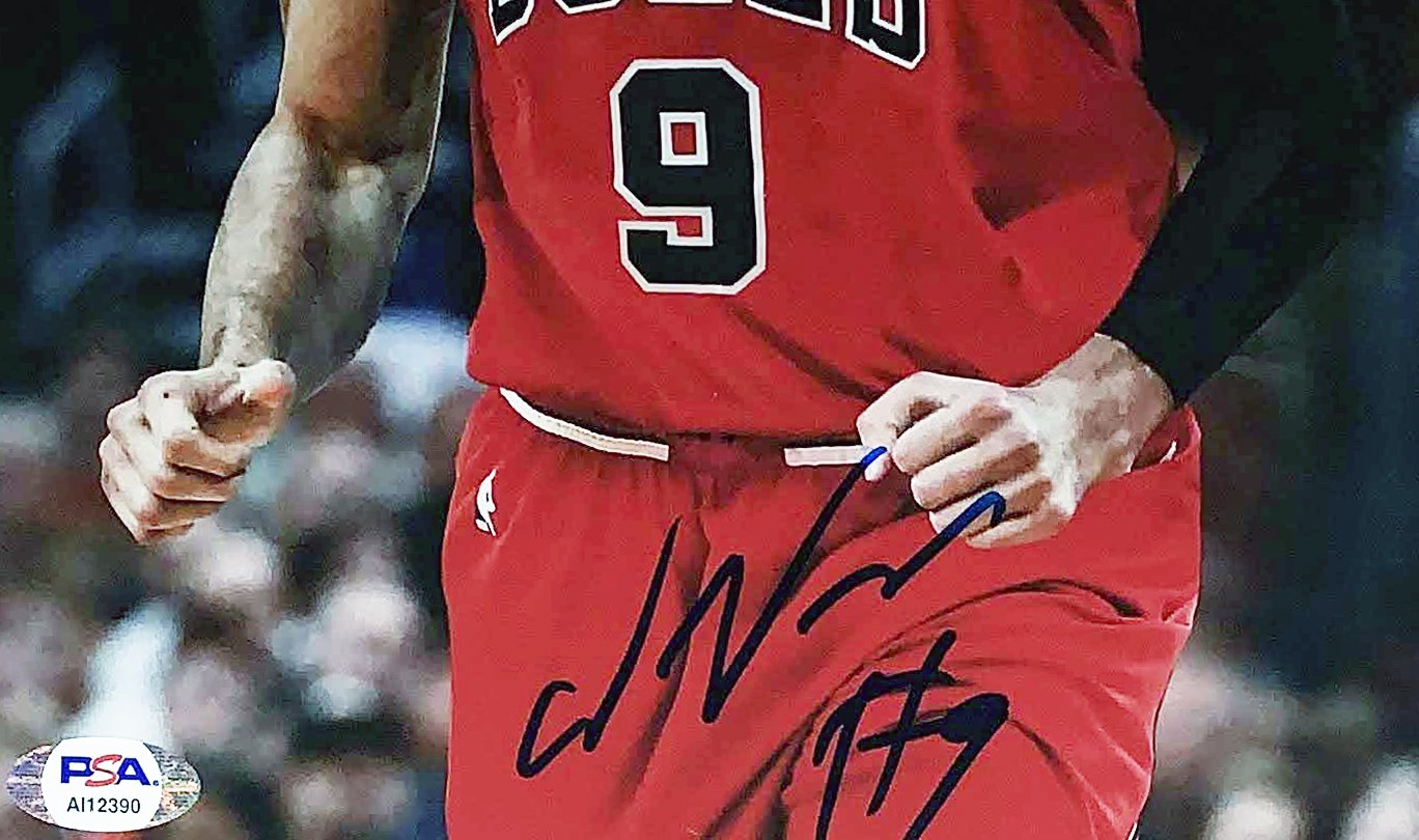 Nikola Vucevic Signed Jersey PSA/DNA COA Chicago Bulls Adult L
