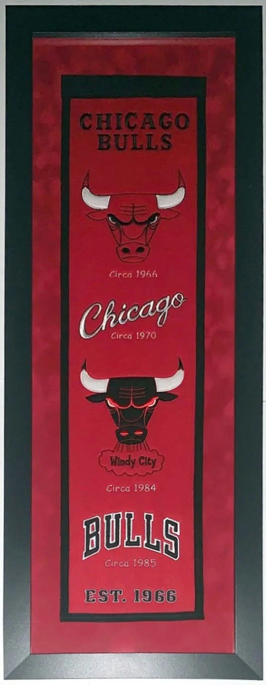 Chicago Bulls Authentic Heritage Logo Banner - Professionally Framed with Suede Mat Board 38x16