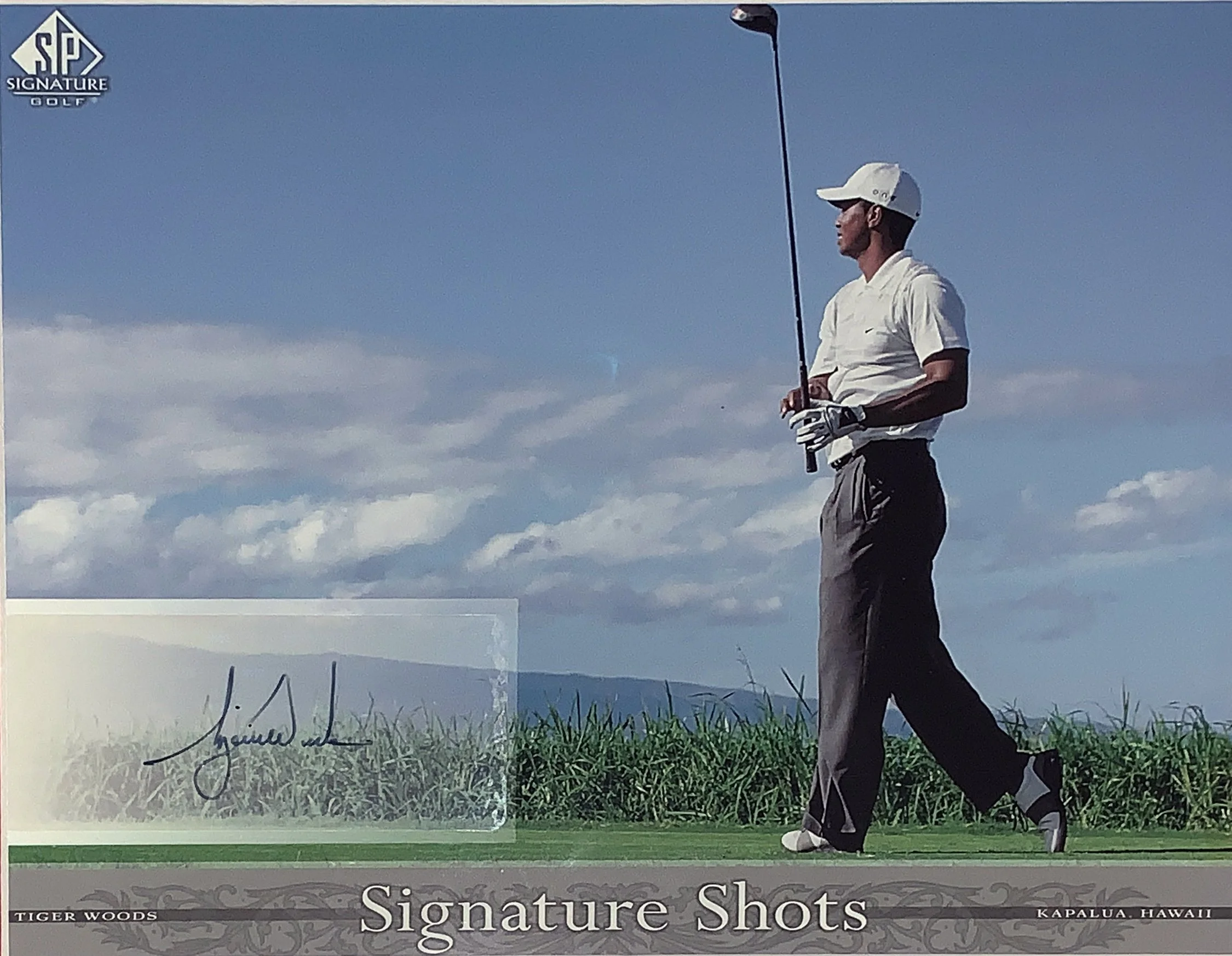 Bleachers Sports Music and Framing — Tiger Woods Signed 1997 2019