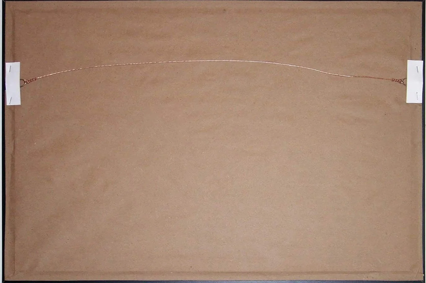 back horrizonatal.jpg