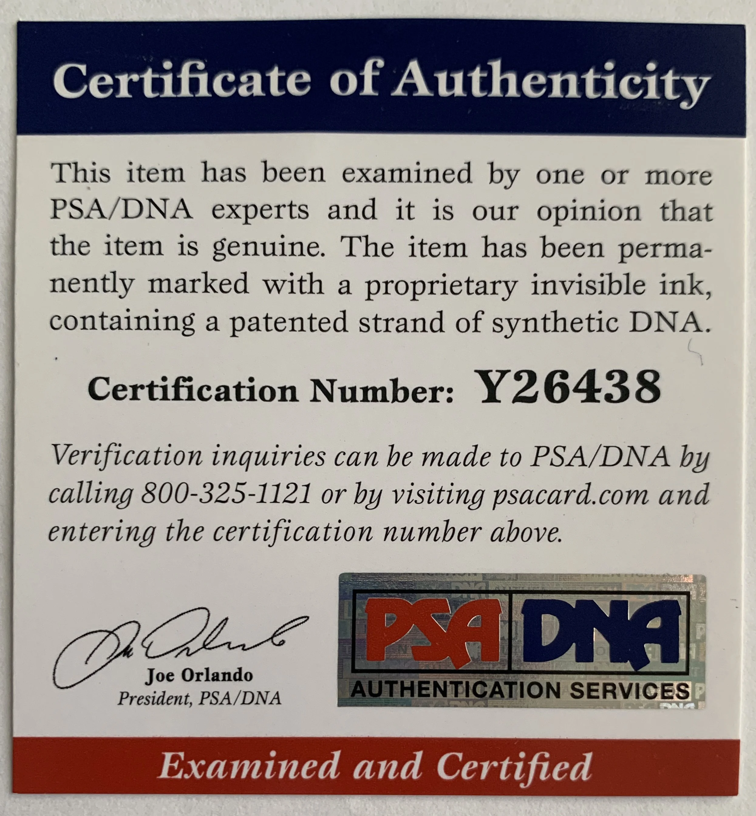 IMG_1256 - Copy (2).JPG