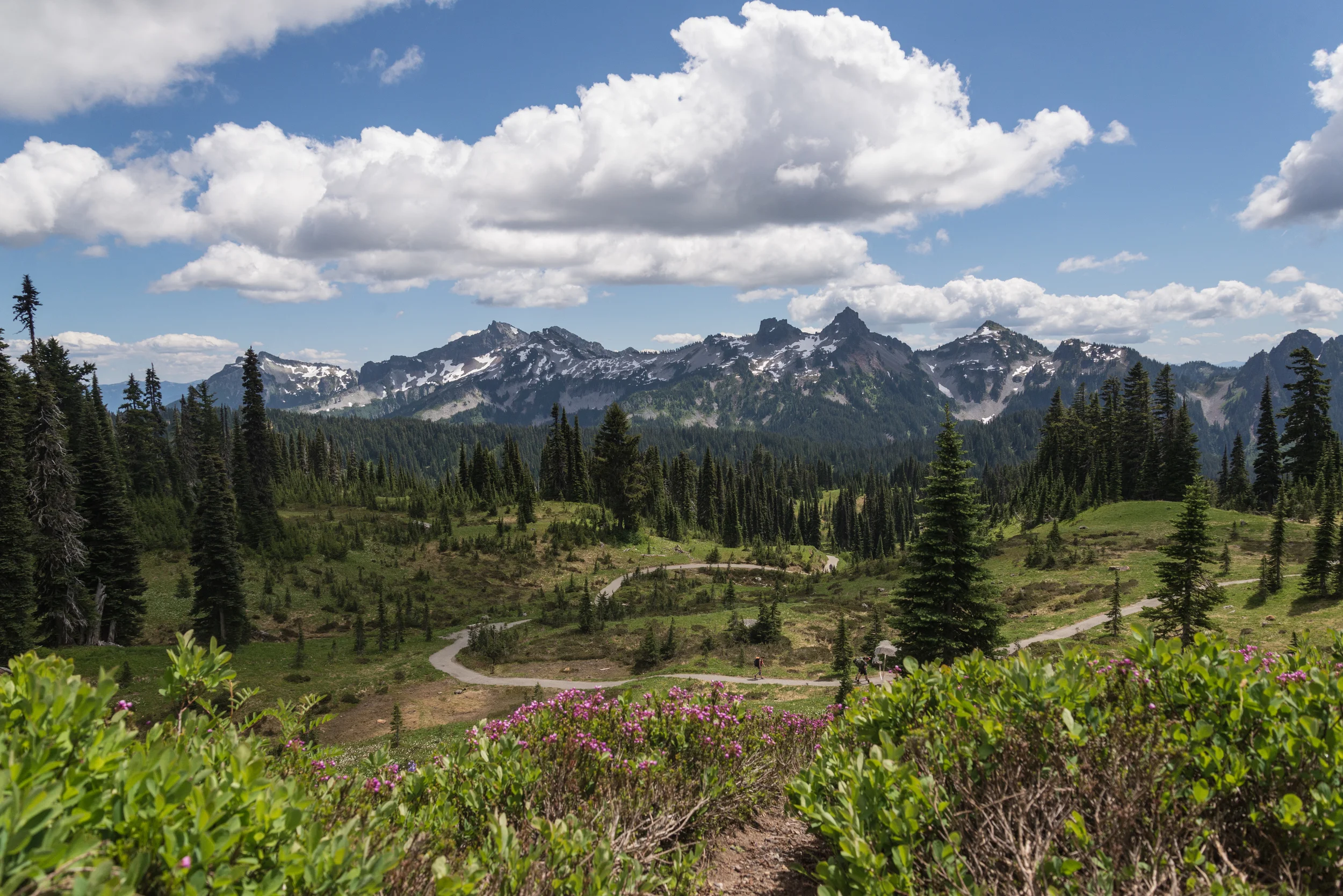 washington (23 of 128).jpg