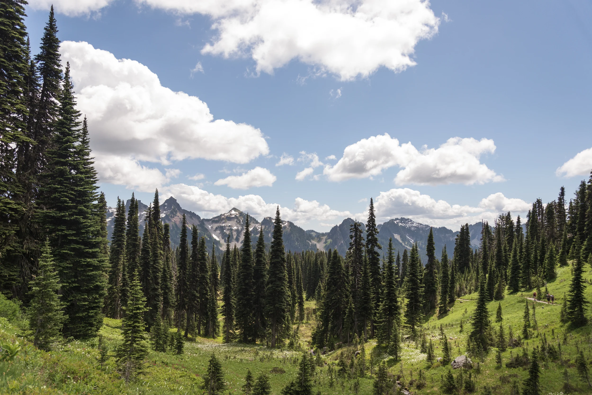 The Mountains are Calling