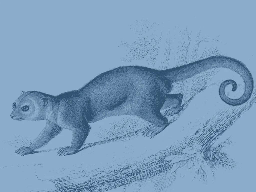 One-Hour Coaching Session