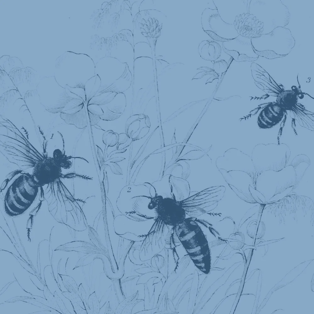 Package of Three Coaching Sessions