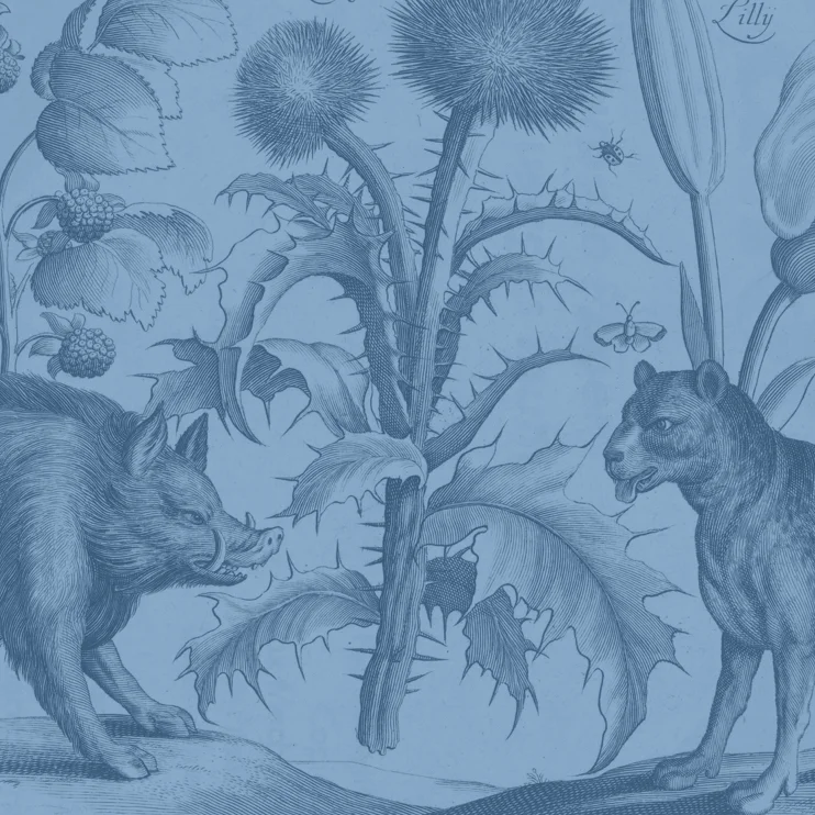 Animal Icons Square.001.jpeg