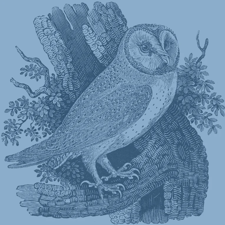 Non-profit Rate for One-Hour Coaching Session