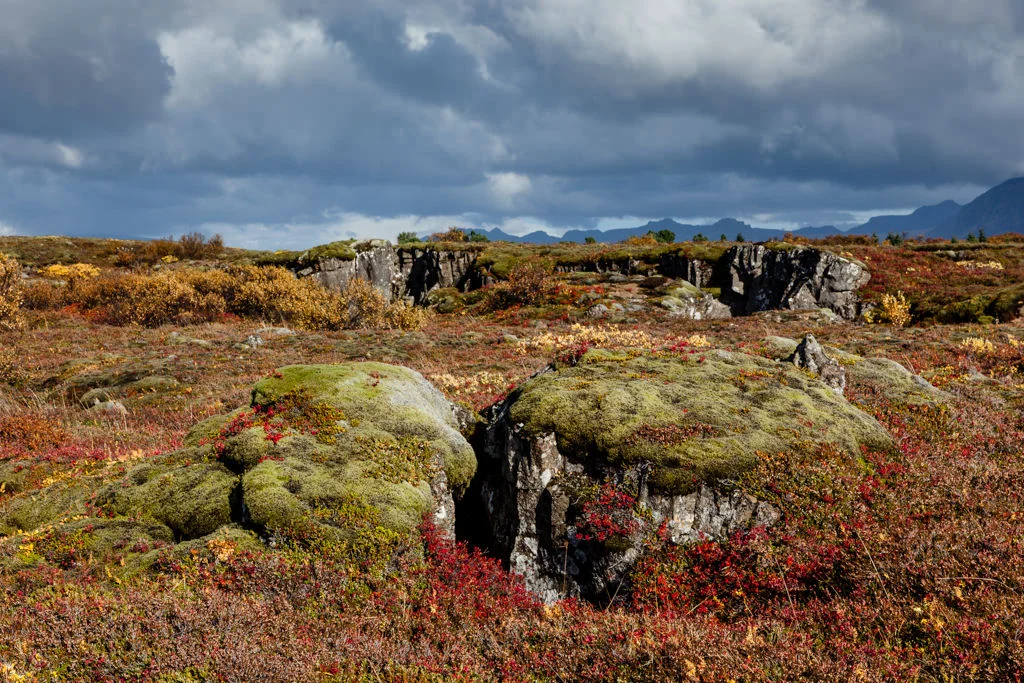 kristjaningi-09.jpg