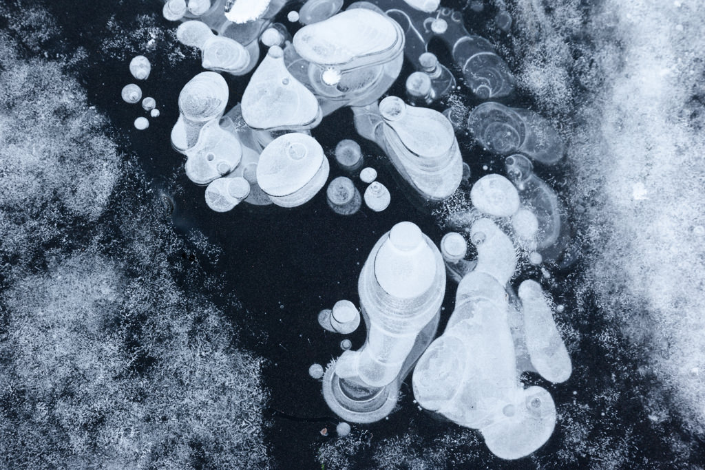 kristjaningi-044.jpg