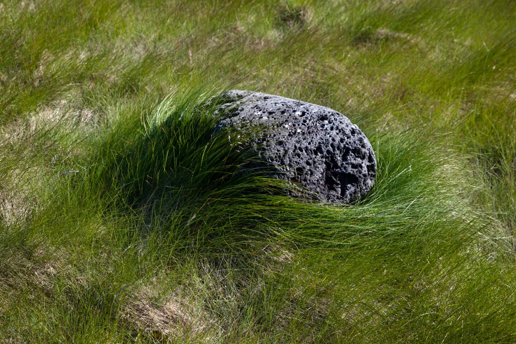 kristjaningi-029.jpg
