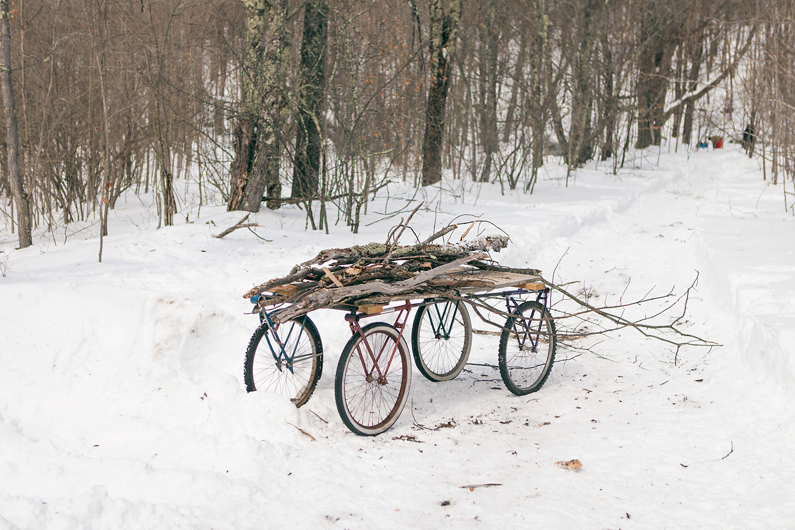 Motorcycles, Woods, Snow
