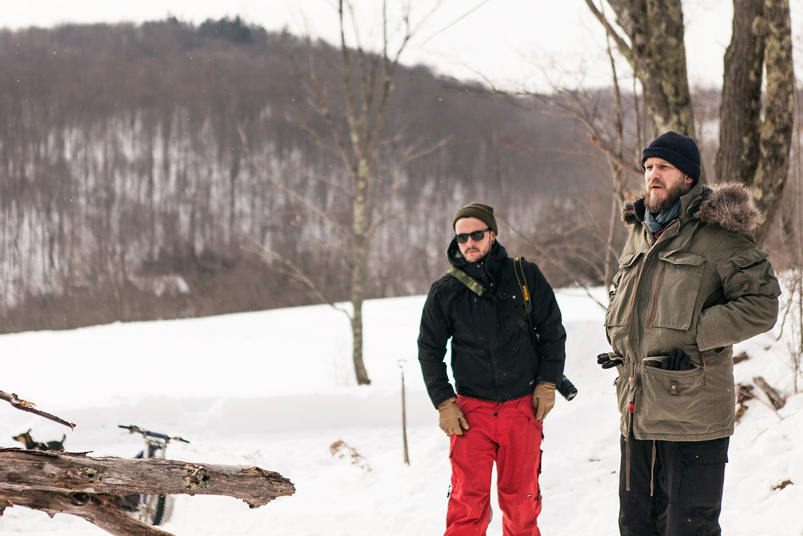 Motorcycles, Woods, Snow