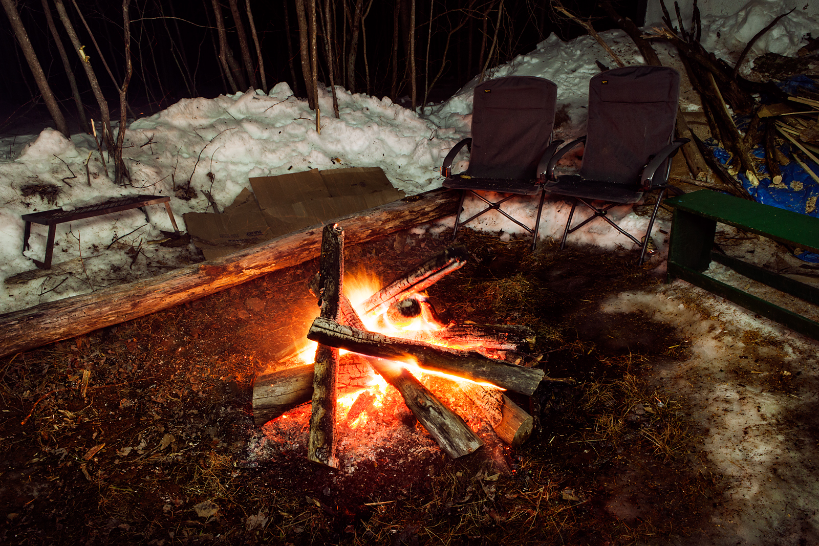 Motorcycles, Woods, Snow