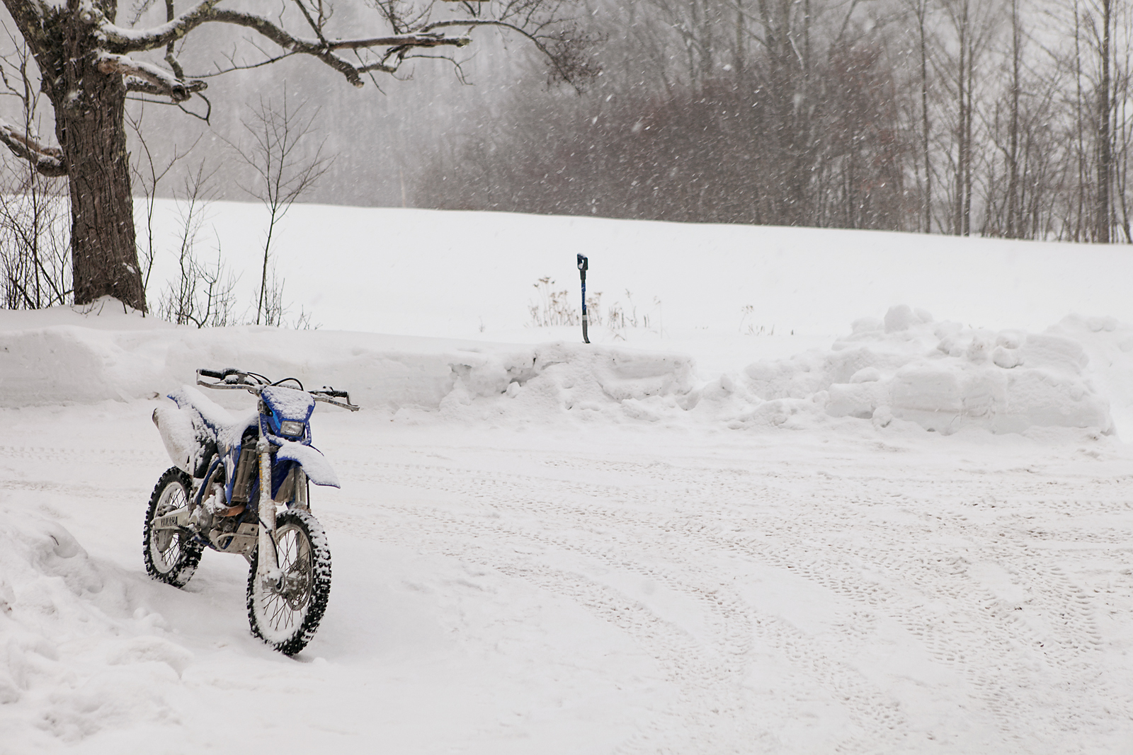 Motorcycles, Woods, Snow