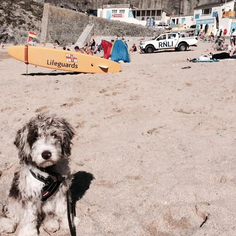 RNLI Base at Great Western Beach 