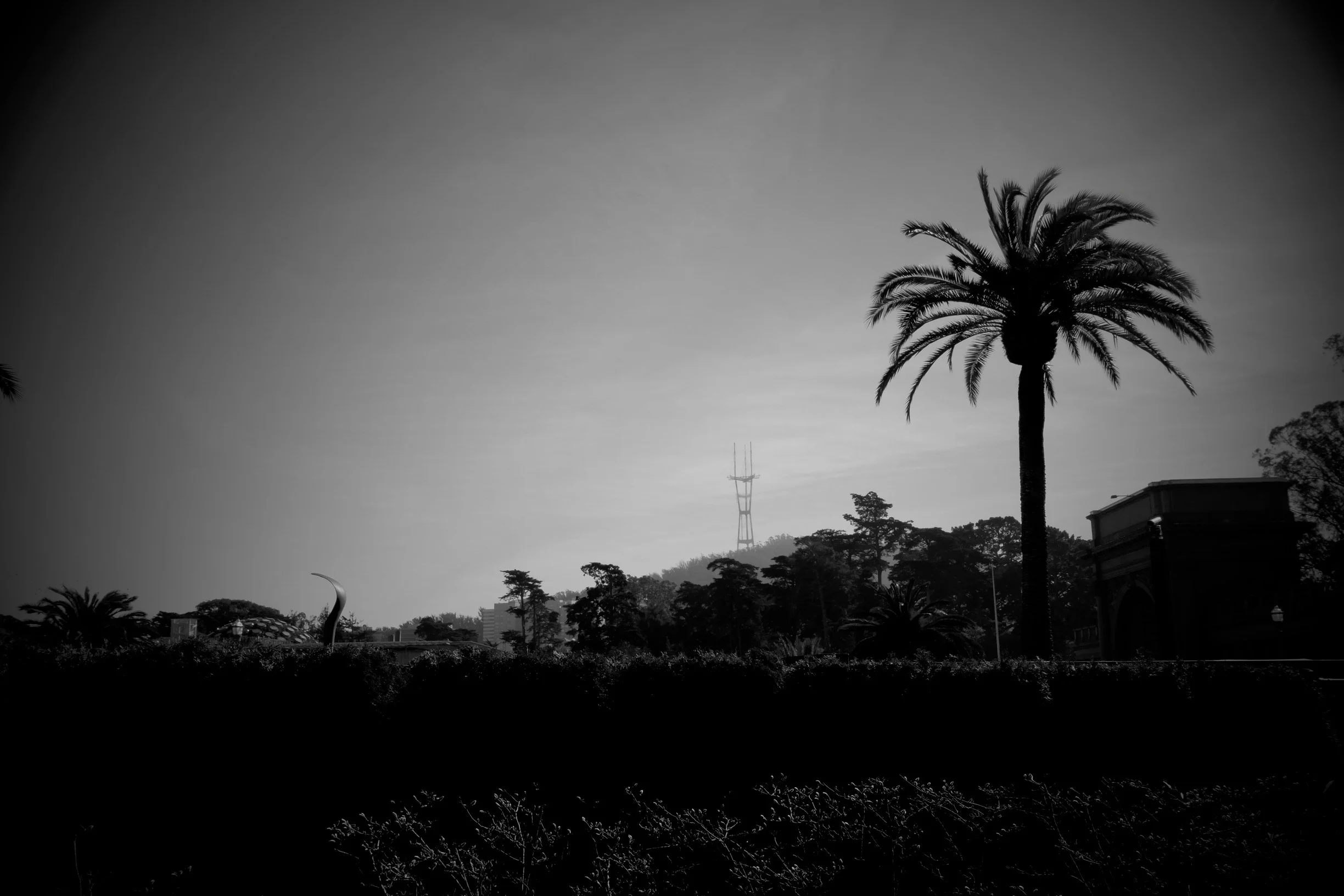 DSCF3715.jpg