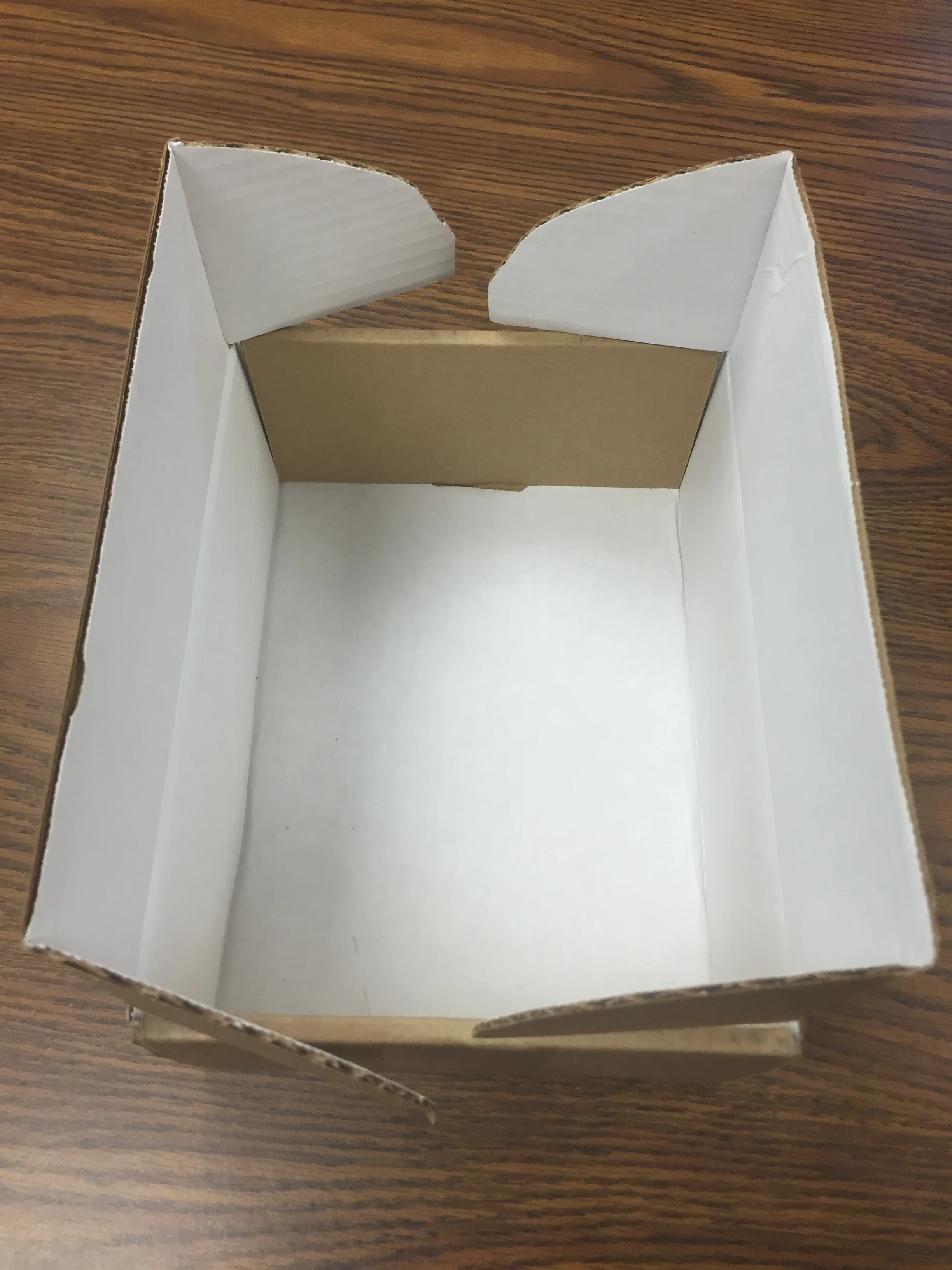 unboxing.jpg