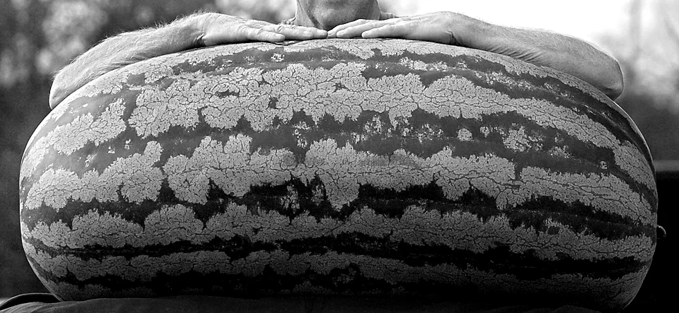 giant-melon - black and white.jpg