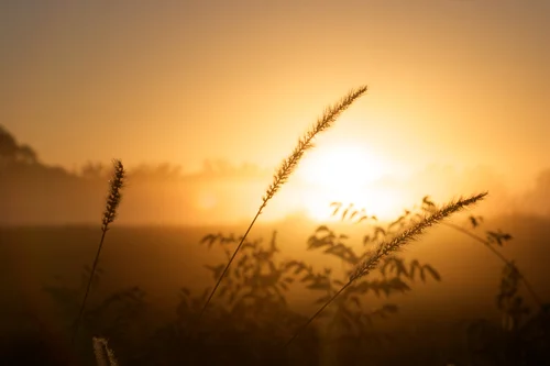 The Battles We Fight