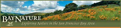 baynature.png