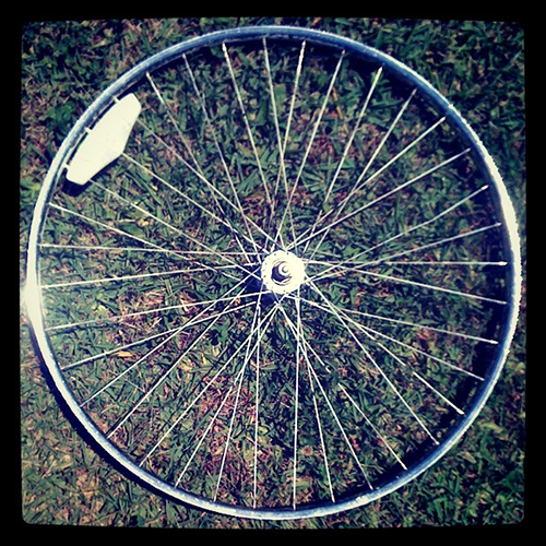 wheel.jpg