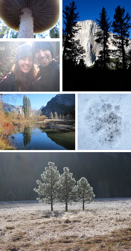 YosemiteThanksgiving2011.jpg