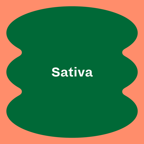 Foray_Shapes_Sativa.gif