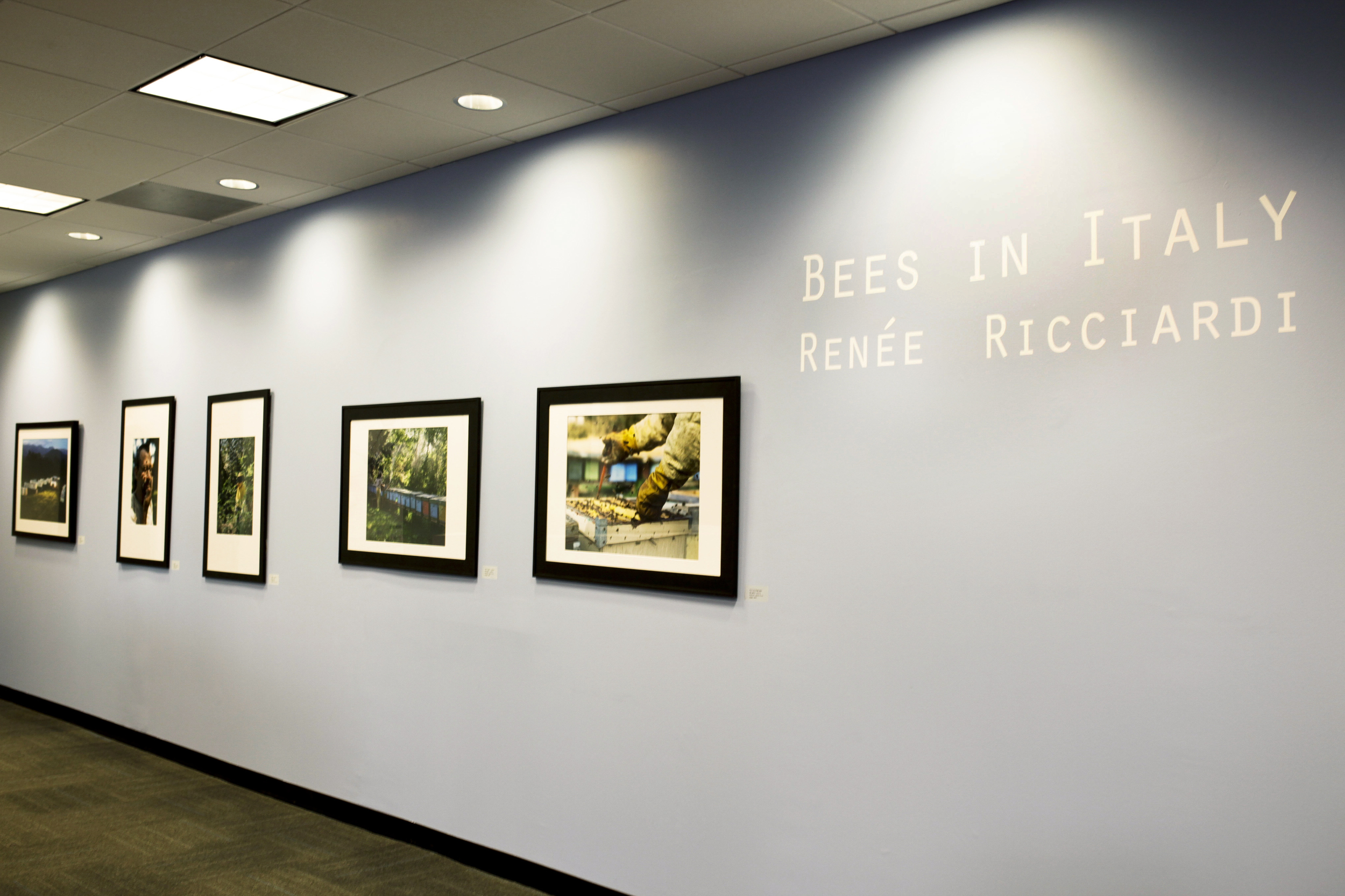 Installation View at the Gallery of the Warner Babcock Institute for Green Chemistry