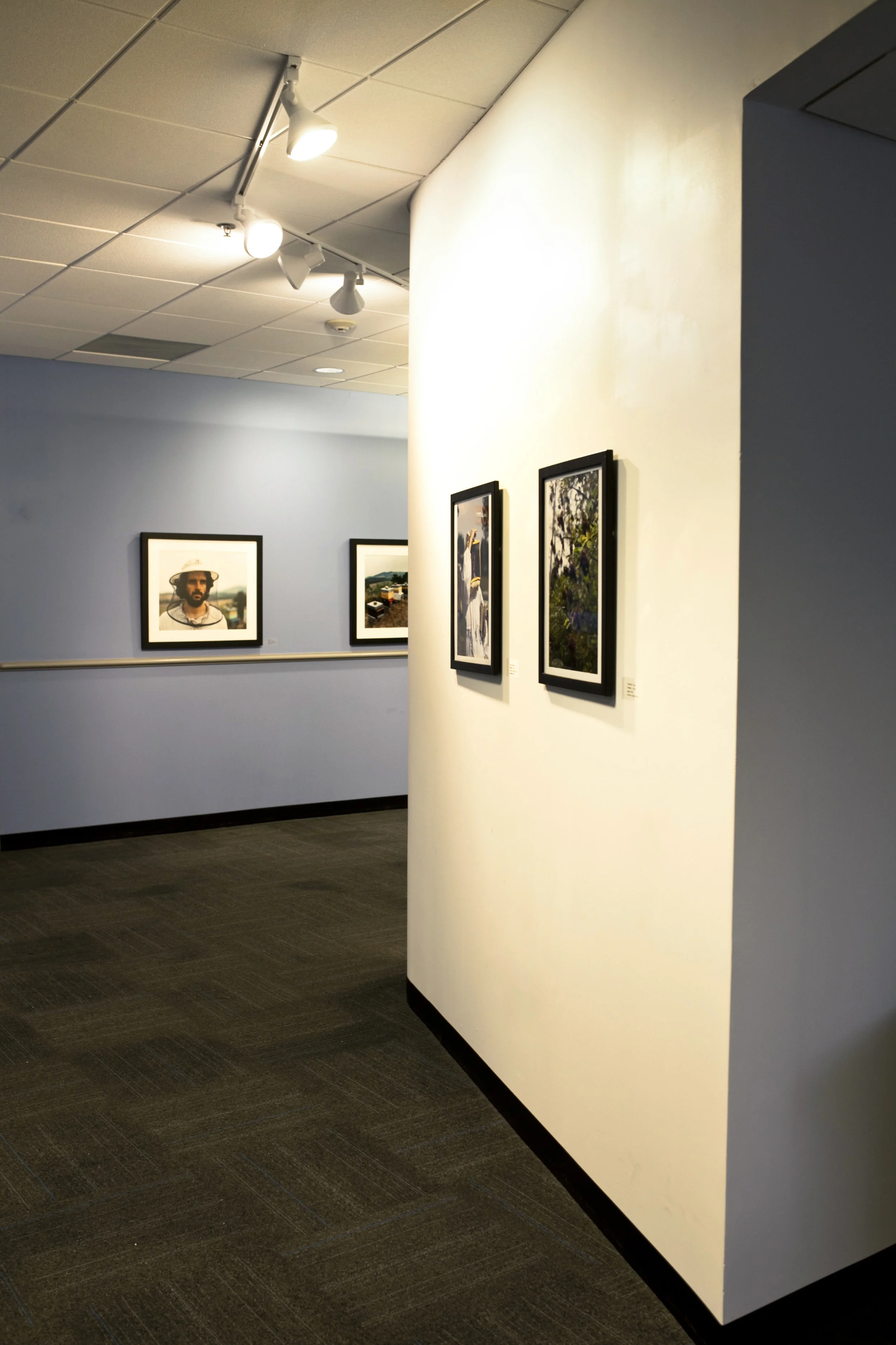 Installation View at the Gallery of the Warner Babcock Institute for Green Chemistry