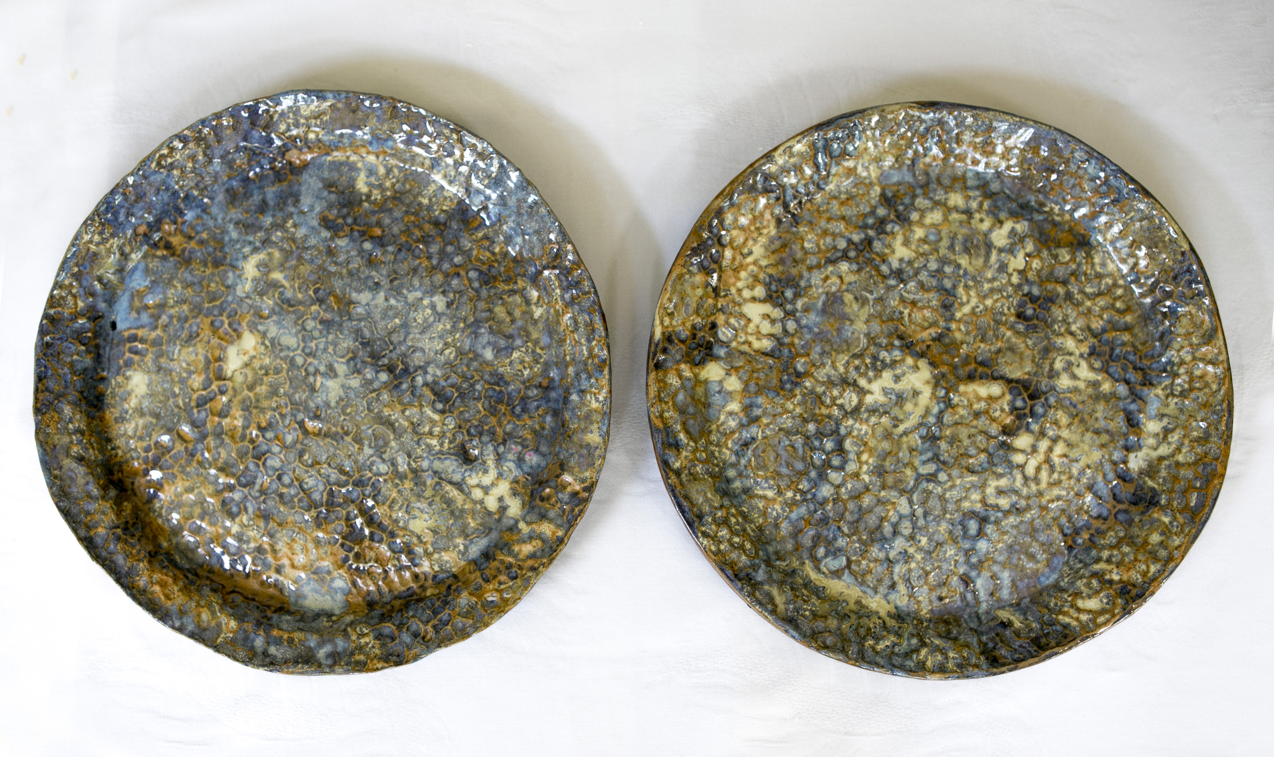 Renee Ricciardi Ceramics Pottery Art_13.jpg