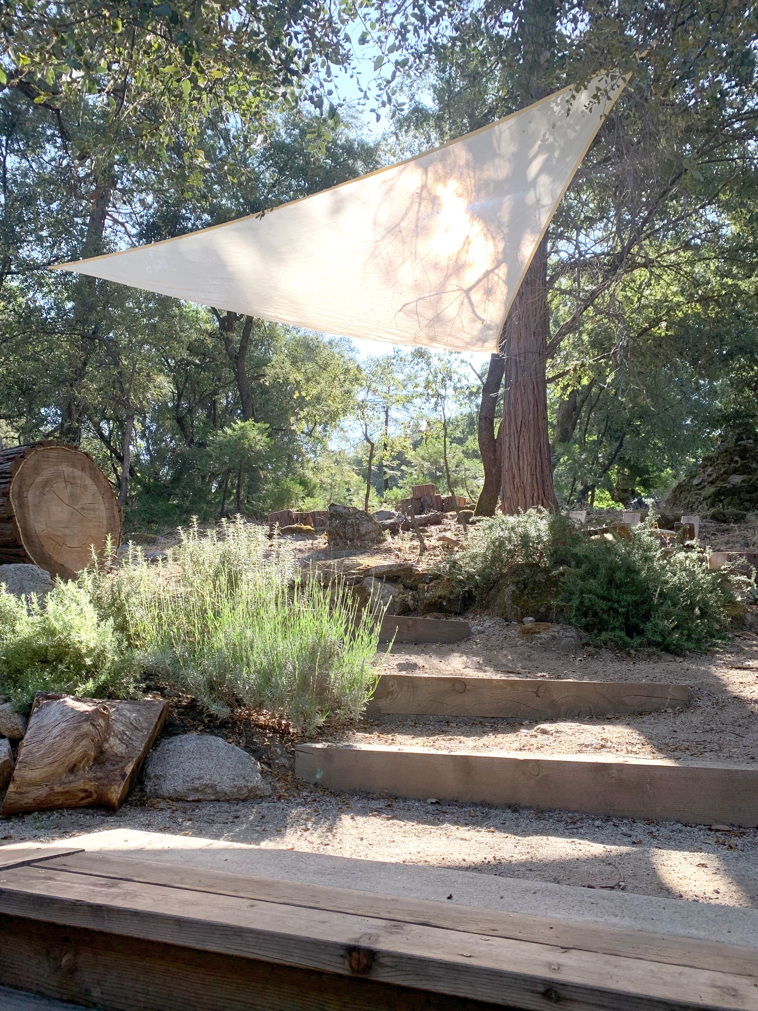 Back steps + Sail.jpg
