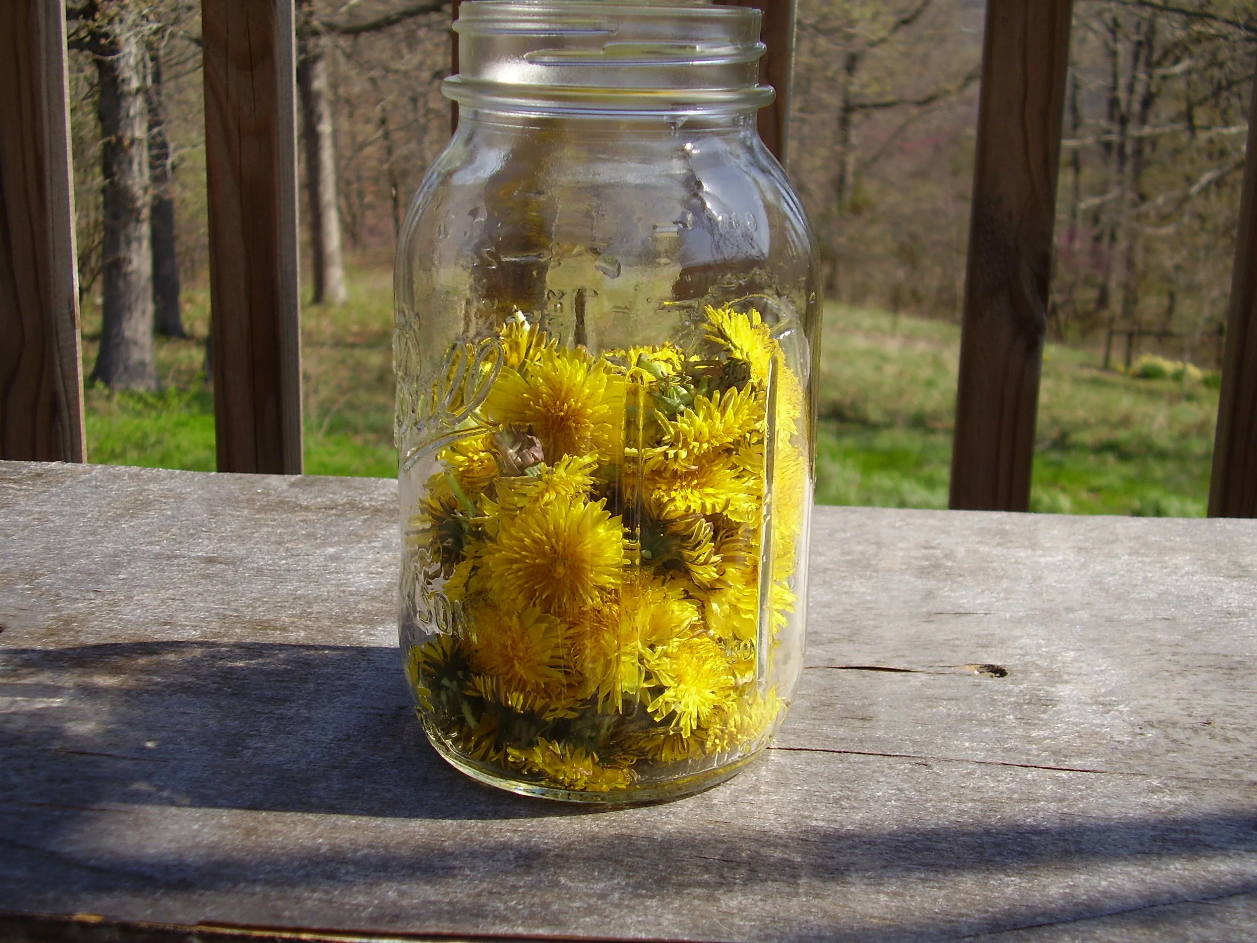 HEALTHY INGREDIENTS FOR A HEALTHY LIFESTYLE - Dandelion Blossoms