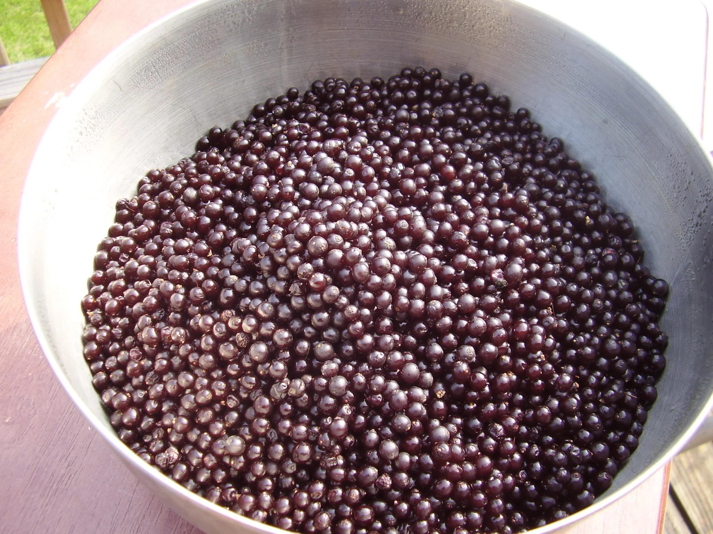 HEALTHY INGREDIENTS FOR A HEALTHY LIFESTYLE - Elderberries