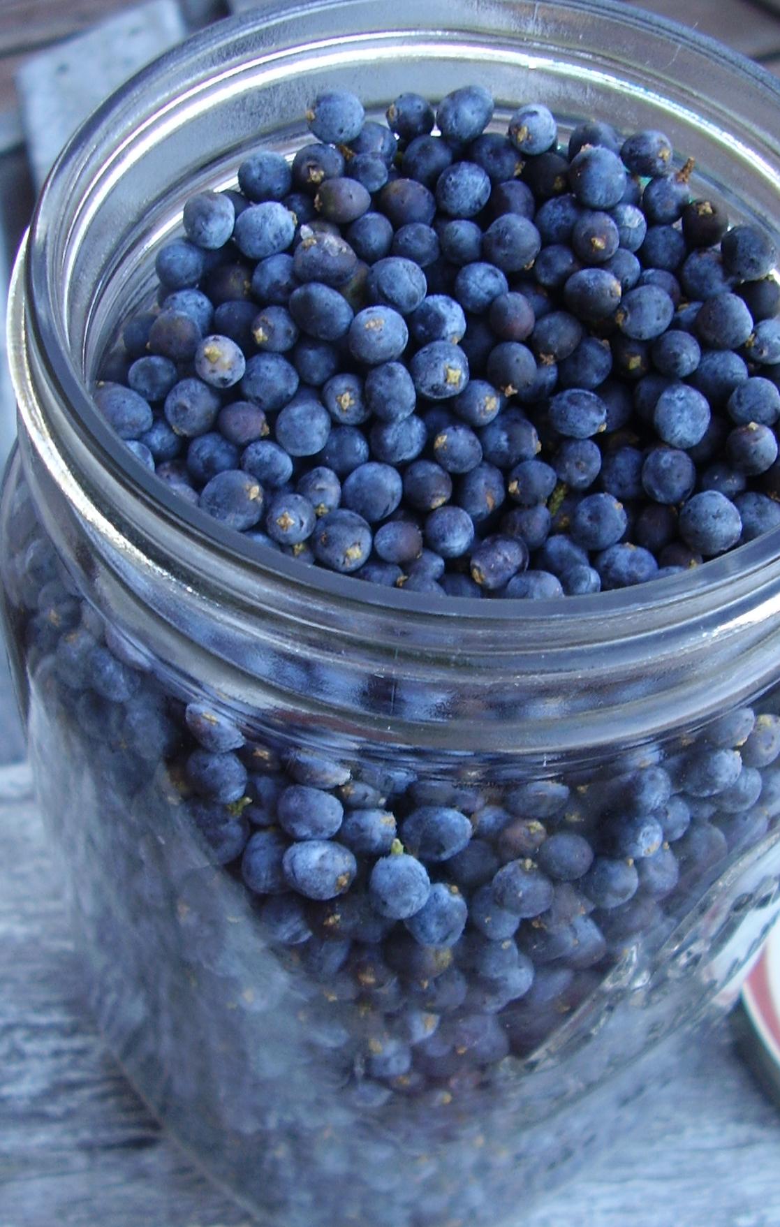 HEALTHY INGREDIENTS FOR A HEALTHY LIFESTYLY - Juniper berries