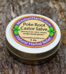Poke Root Castor Salve - Historical uses: cysts, tumors, & swollen lymph glands. *Not intended to prescribe or cure. 1 oz. - $7. 2 oz. - $12.