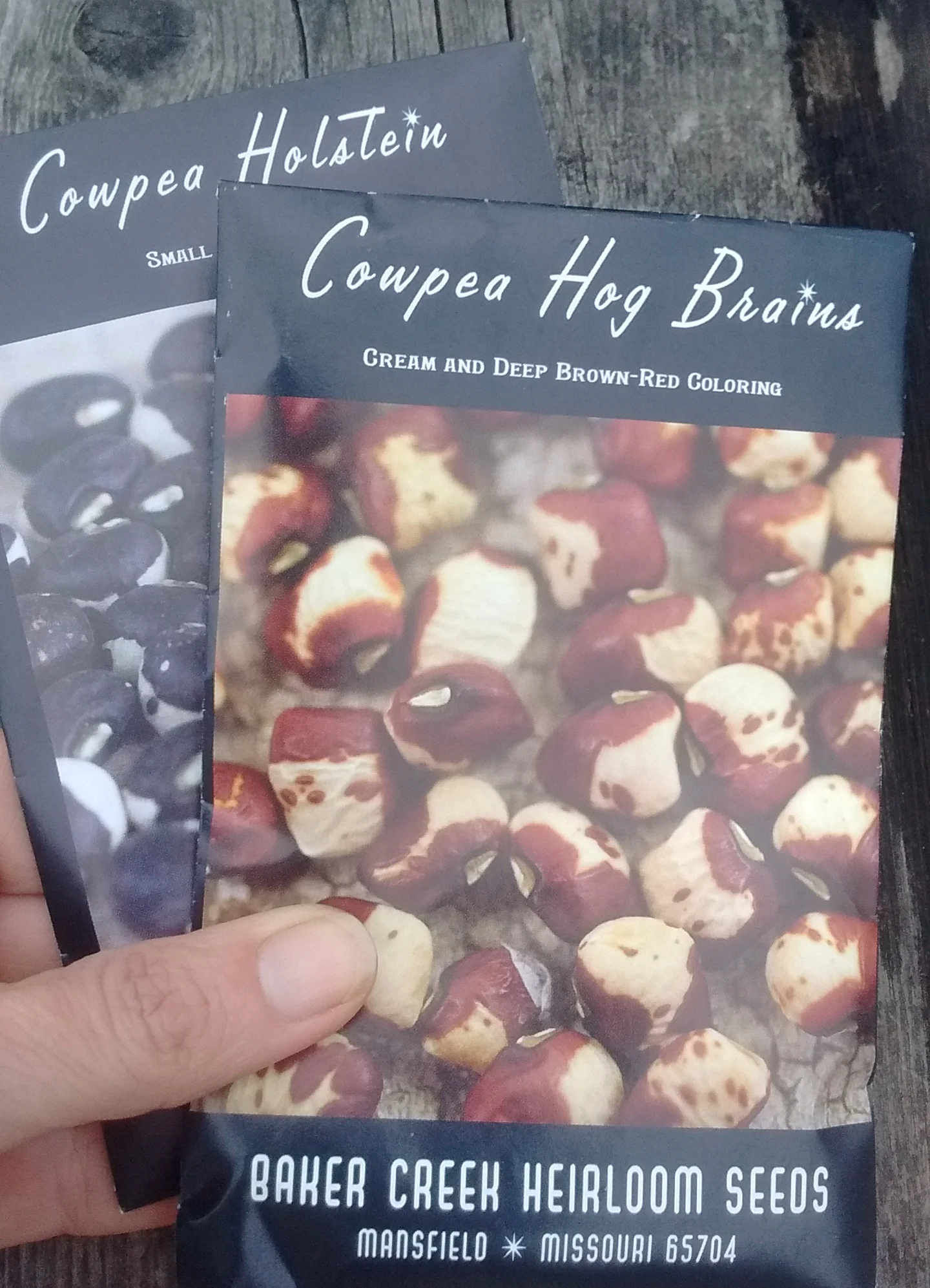 My cowpeas for 2017 from Bake Creek Heirloom seeds
