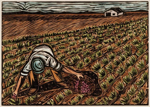 Field_Worker_72.jpg