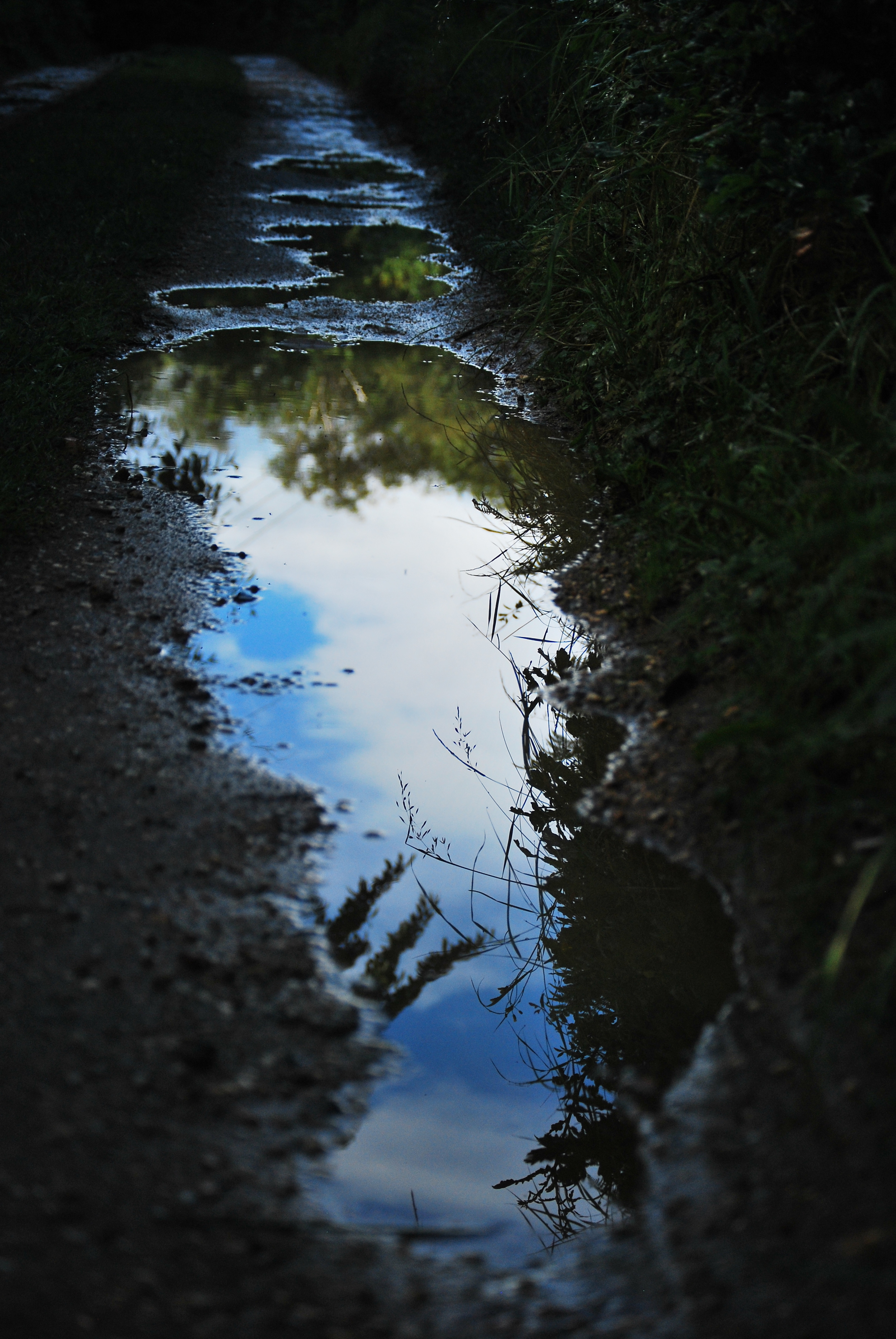 DSC_8101.JPG