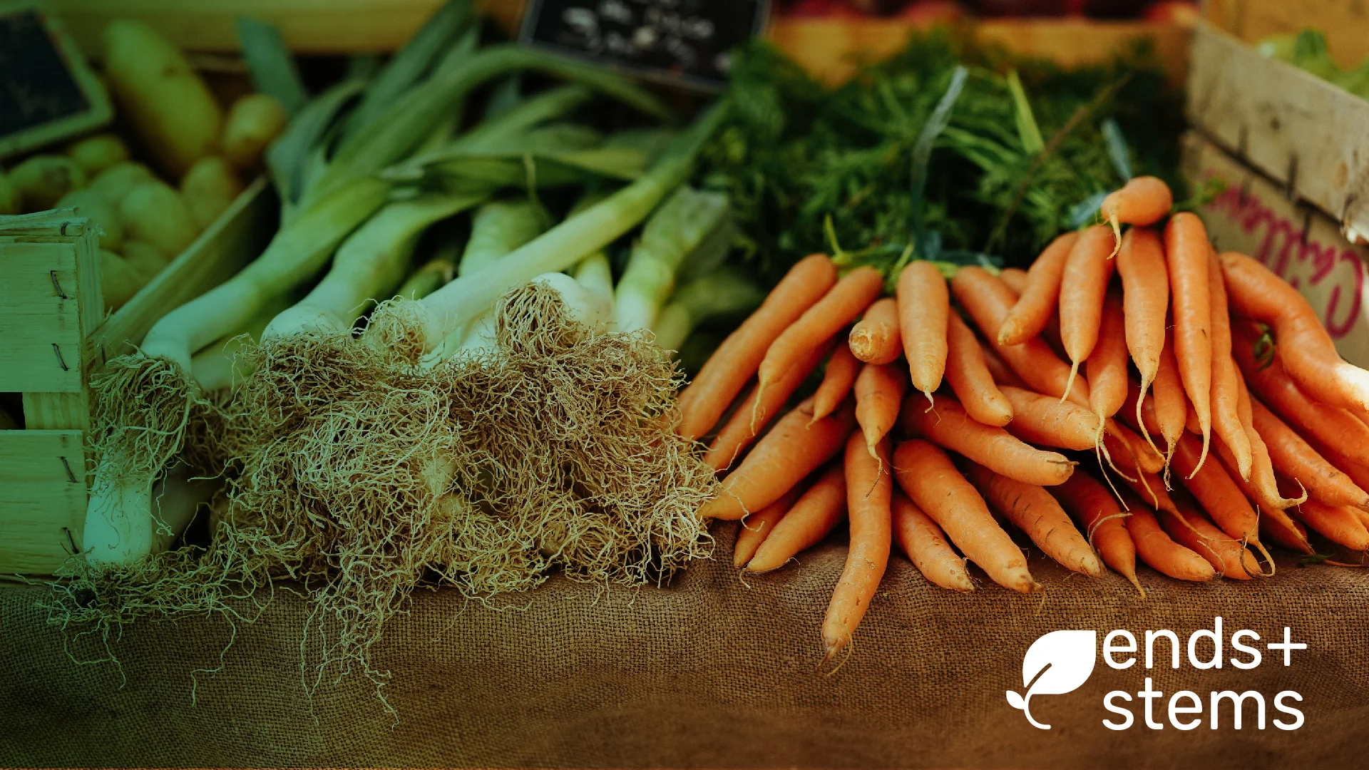 veggies-small-01.jpg