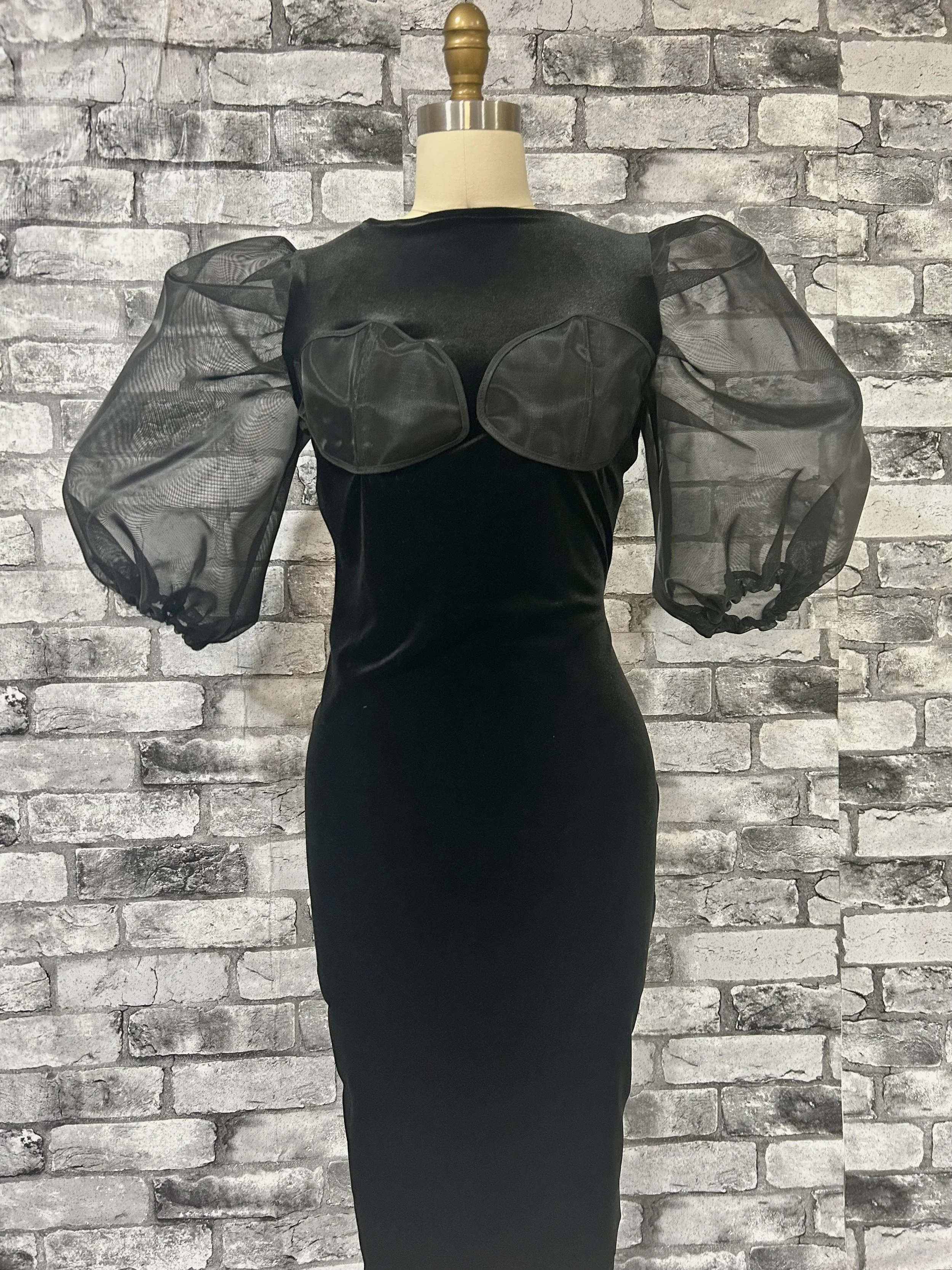 Sheer Velvet Bodycon Front.jpg