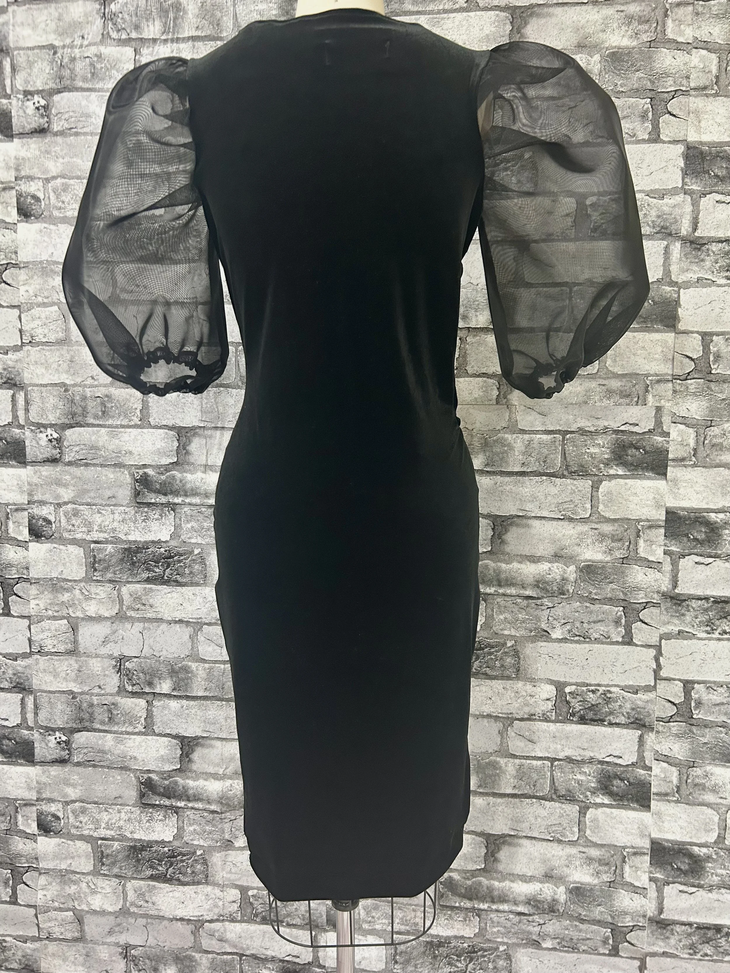 Sheer Velvet Bodycon Back .jpg