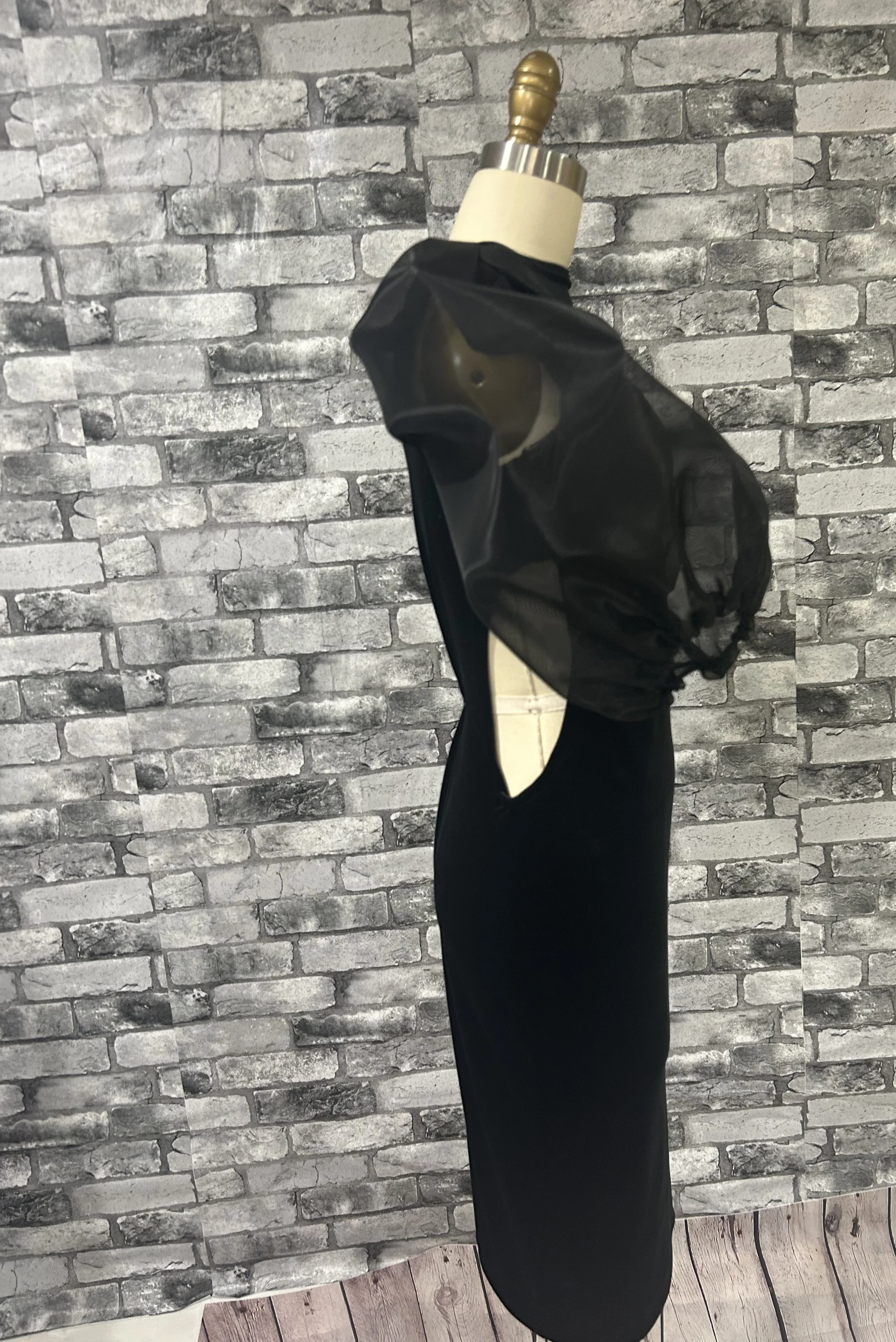 Sheer Velvet Bodycon Side.jpg